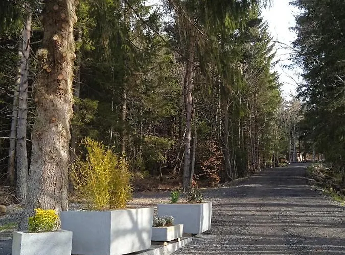 Cricri Domaine De La Mamounette Chalet *