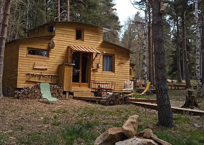 Cricri Domaine De La Mamounette Chalet Champclause