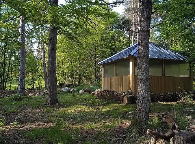 Cricri Domaine De La Mamounette * Champclause