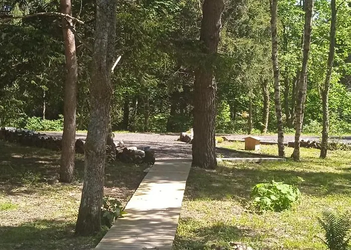 Cricri Domaine De La Mamounette * Champclause