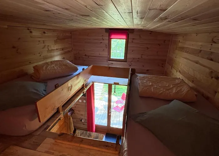 Cricri Domaine De La Mamounette * Champclause